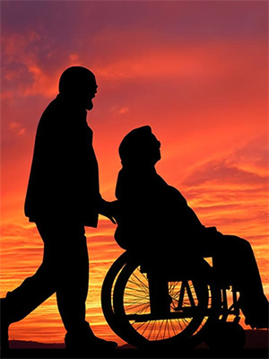 雲知鳶燕歸塵免費閱讀